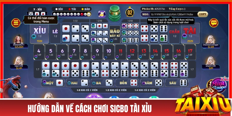 Hướng dẫn về cách chơi Sicbo Tài Xỉu